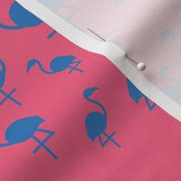 Flamingos in blue on pink