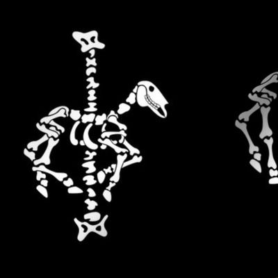 Carousel Horse Triad of Bones