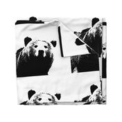 Black Bear // Pillow Cover