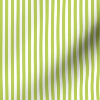 candy stripe green