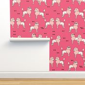 poodle // poodles dog cute dog pet pets pink poodles