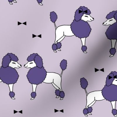 poodle //  poodles purple cute dogs