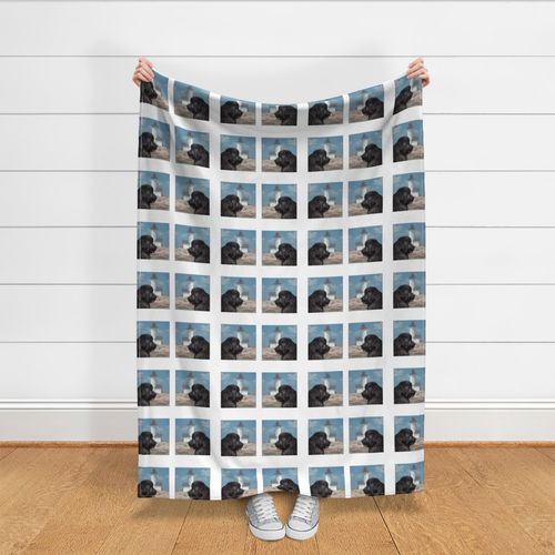 HOME_GOOD_THROW_BLANKET