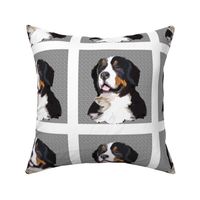 bernese_mountain_dog_quilt_block