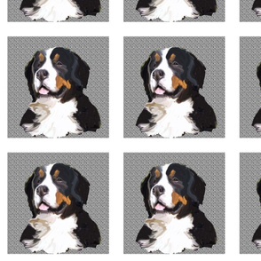 bernese_mountain_dog_quilt_block