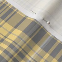 Gray & Yellow Plaid