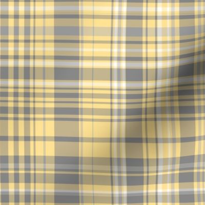 Gray & Yellow Plaid