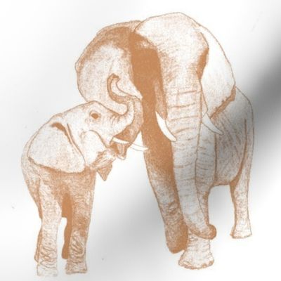 elephant's secret