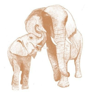 elephant's secret