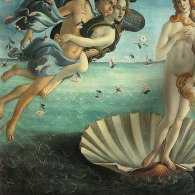 14" La Nascita di Venere Botticelli