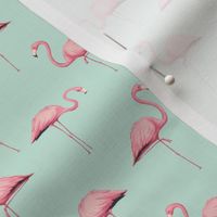 Pink Flamingo Flock on Mint