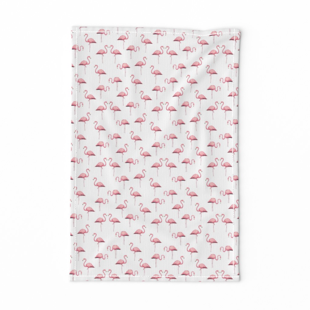 Flamingo Flock on White