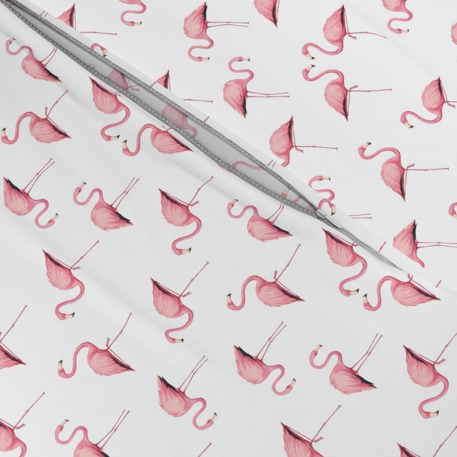 Flamingo Flock on White