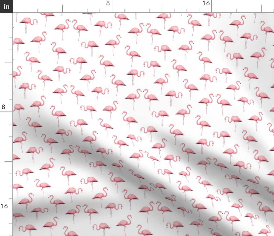 Flamingo Flock on White