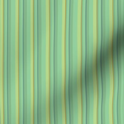 cabbage_color_stripes