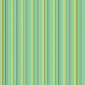 cabbage_color_stripes