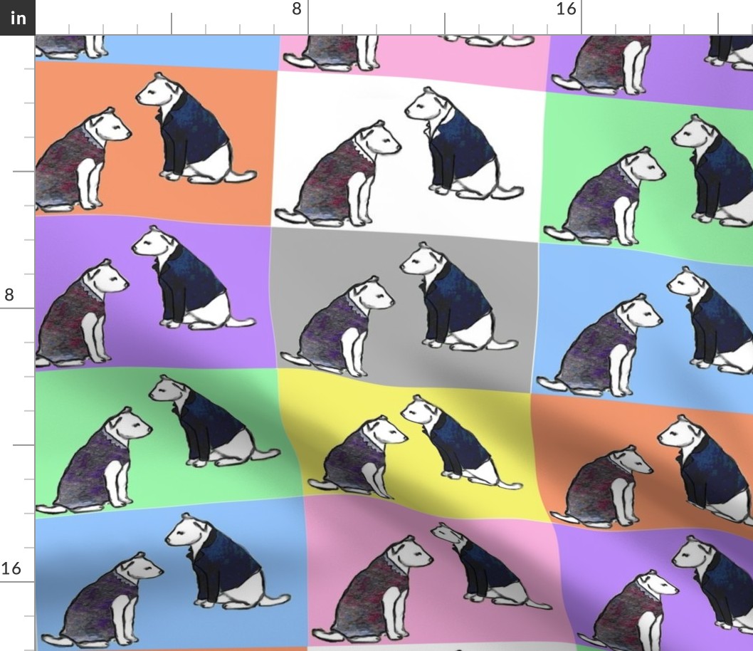 dogs with jackets and dresses with colorful blocks background