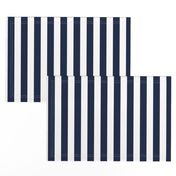 stripe 1 inch - indigo