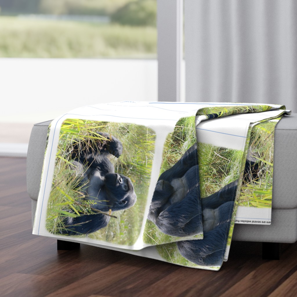 three GORILLA pillowcases