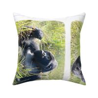 three GORILLA pillowcases