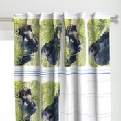 three GORILLA pillowcases