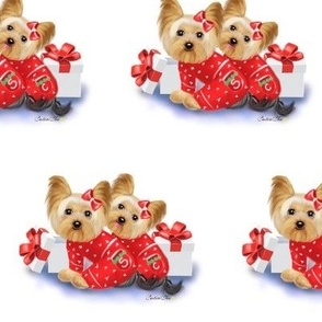 Yorkie Christmas Twins M