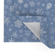 photographic snowflakes on Christmascolors frosty blue (large snowflakes)