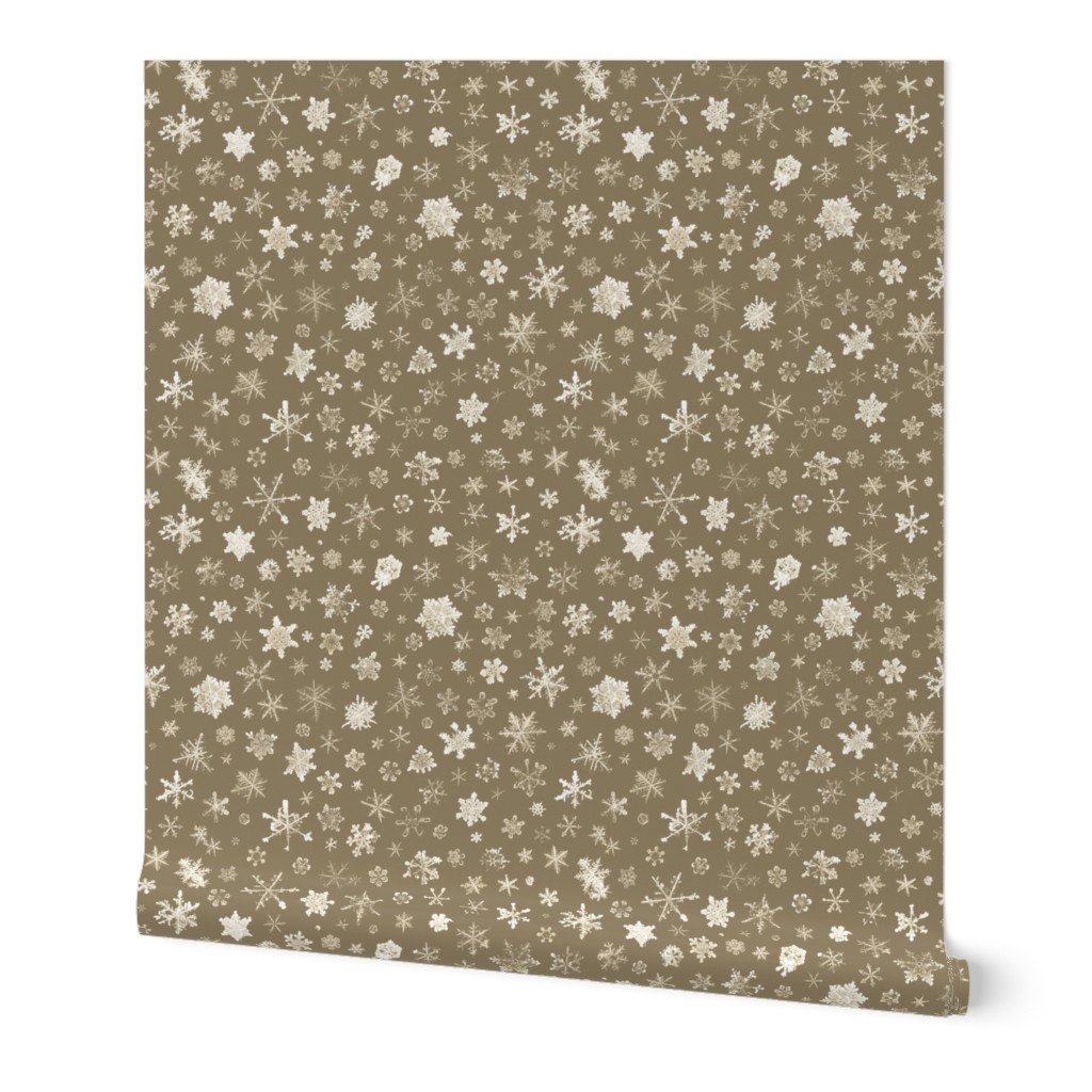 large photographic snowflakes on tan