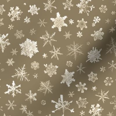 large photographic snowflakes on tan