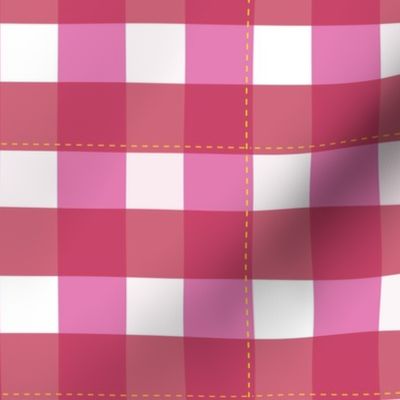 Picnic Gingham_red/pink