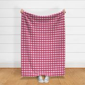 Picnic Gingham_red/pink