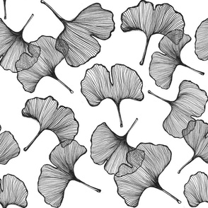 Ginkgo in Black & White