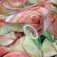 A Dozen Dozen Roses ~ New Romance