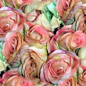A Dozen Dozen Roses ~ New Romance