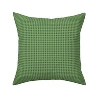 Green Gingham