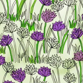 A Field of Chives