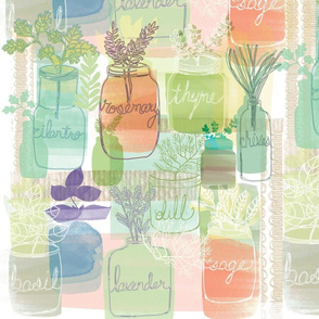 Herb Garden in Jars