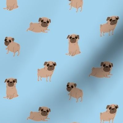 Pugs on Blue