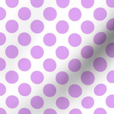 Spanish Dots - Orchid and White