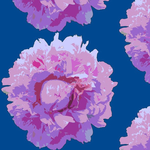 peony big-blue