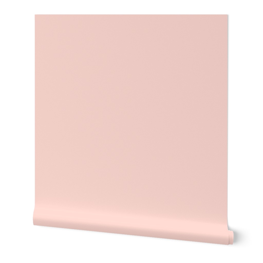 pale blush pink solid (FDD9D1)