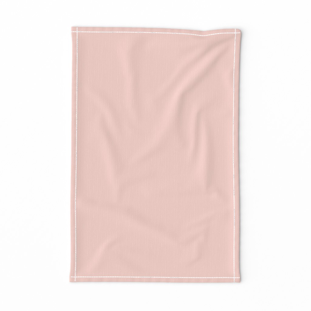 pale blush pink solid (FDD9D1)