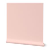 pale blush pink solid (FDD9D1)