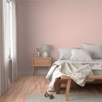 pale blush pink solid (FDD9D1)