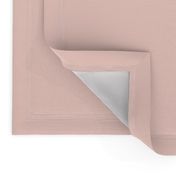 pale blush pink solid (FDD9D1)