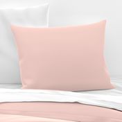 pale blush pink solid (FDD9D1)