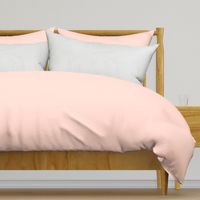 pale blush pink solid (FDD9D1)