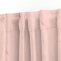 pale blush pink solid (FDD9D1)