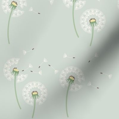 Dandelions