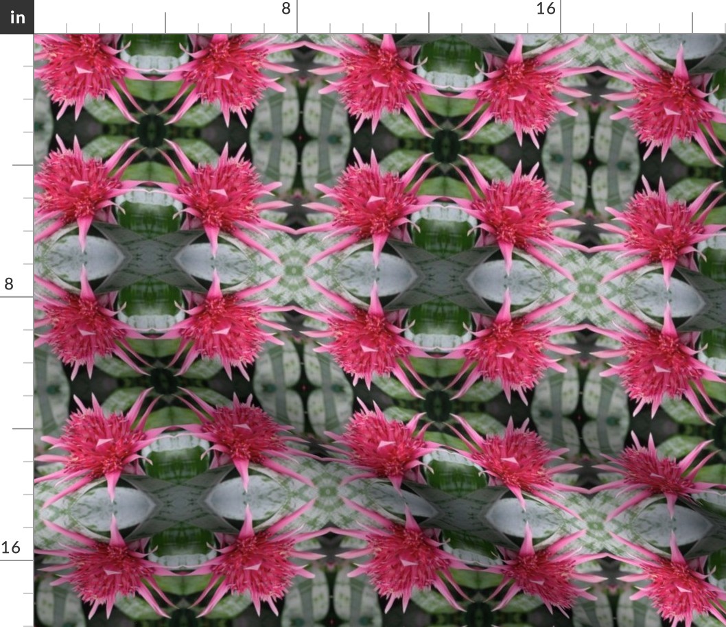 Pink Bromeliad 2214